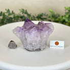 Polished Amethyst Flower 2.61 lbs & 3.6" Tall 5609 - 0041 - Brazil GemsBrazil GemsPolished Amethyst Flower 2.61 lbs & 3.6" Tall 5609 - 0041Crystal Flowers5609 - 0041