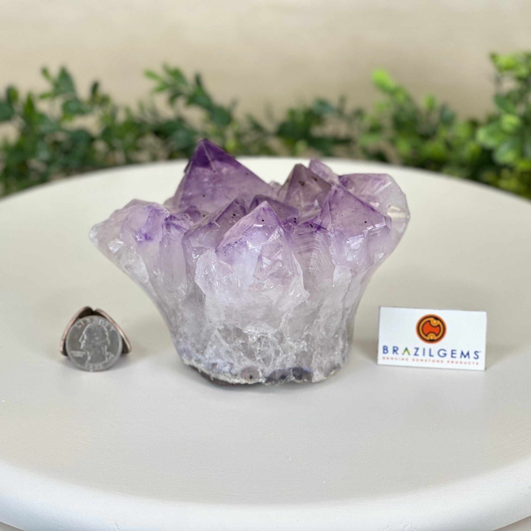 Polished Amethyst Flower 2.61 lbs & 3.6" Tall 5609 - 0041 - Brazil GemsBrazil GemsPolished Amethyst Flower 2.61 lbs & 3.6" Tall 5609 - 0041Crystal Flowers5609 - 0041