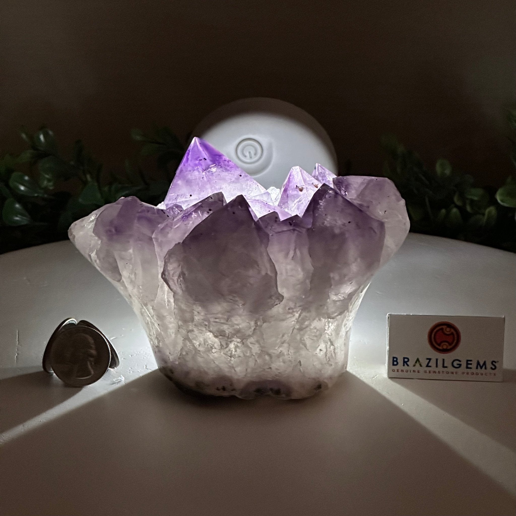 Polished Amethyst Flower 2.61 lbs & 3.6" Tall 5609 - 0041 - Brazil GemsBrazil GemsPolished Amethyst Flower 2.61 lbs & 3.6" Tall 5609 - 0041Crystal Flowers5609 - 0041