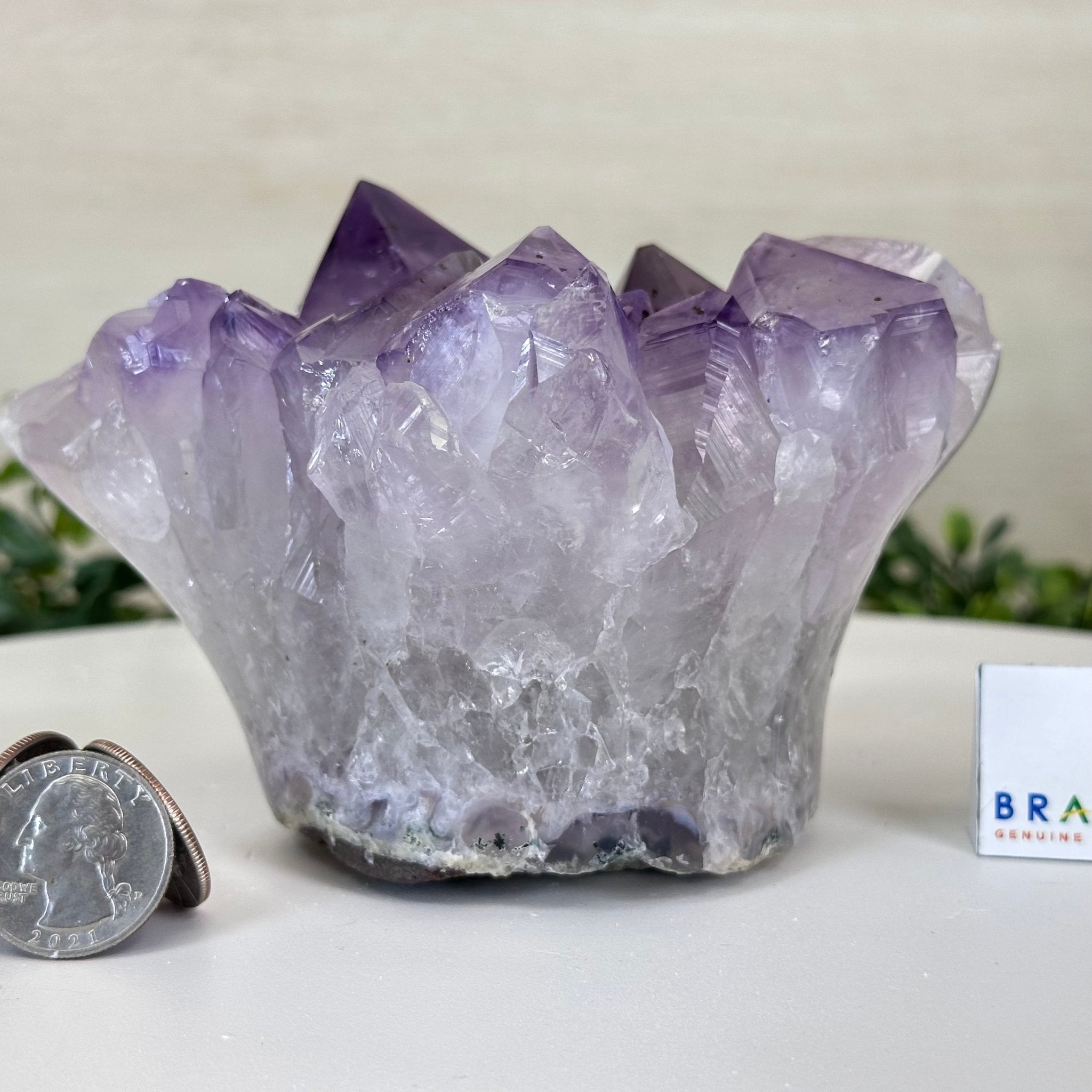 Polished Amethyst Flower 2.61 lbs & 3.6" Tall 5609 - 0041 - Brazil GemsBrazil GemsPolished Amethyst Flower 2.61 lbs & 3.6" Tall 5609 - 0041Crystal Flowers5609 - 0041
