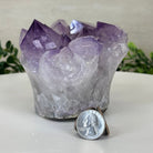 Polished Amethyst Flower 2.61 lbs & 3.6" Tall 5609 - 0041 - Brazil GemsBrazil GemsPolished Amethyst Flower 2.61 lbs & 3.6" Tall 5609 - 0041Crystal Flowers5609 - 0041