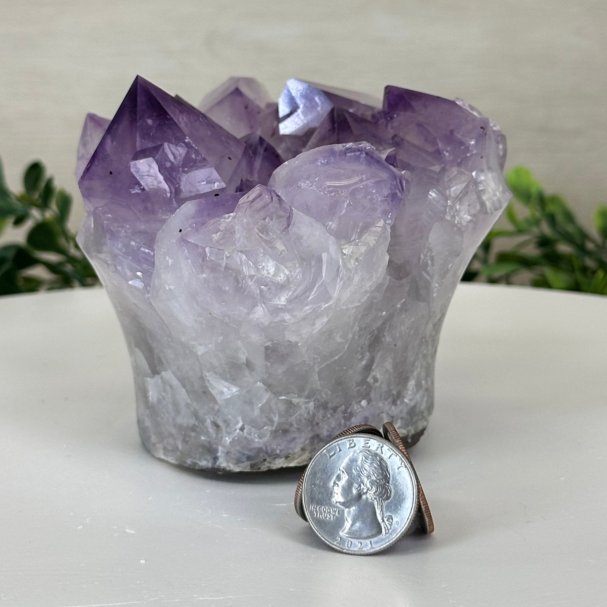 Polished Amethyst Flower 2.61 lbs & 3.6" Tall 5609 - 0041 - Brazil GemsBrazil GemsPolished Amethyst Flower 2.61 lbs & 3.6" Tall 5609 - 0041Crystal Flowers5609 - 0041