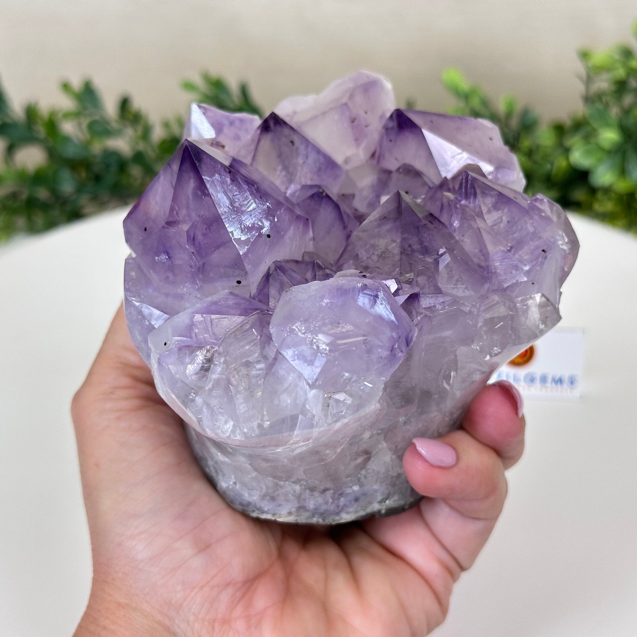Polished Amethyst Flower 2.61 lbs & 3.6" Tall 5609 - 0041 - Brazil GemsBrazil GemsPolished Amethyst Flower 2.61 lbs & 3.6" Tall 5609 - 0041Crystal Flowers5609 - 0041