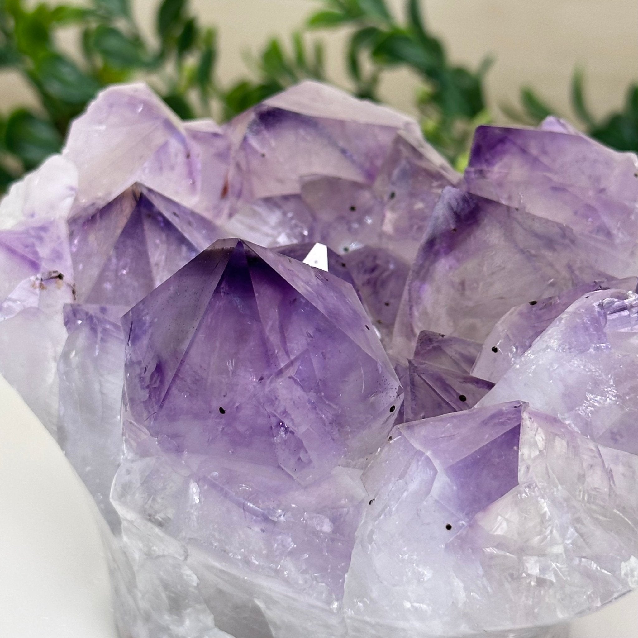 Polished Amethyst Flower 2.61 lbs & 3.6" Tall 5609 - 0041 - Brazil GemsBrazil GemsPolished Amethyst Flower 2.61 lbs & 3.6" Tall 5609 - 0041Crystal Flowers5609 - 0041
