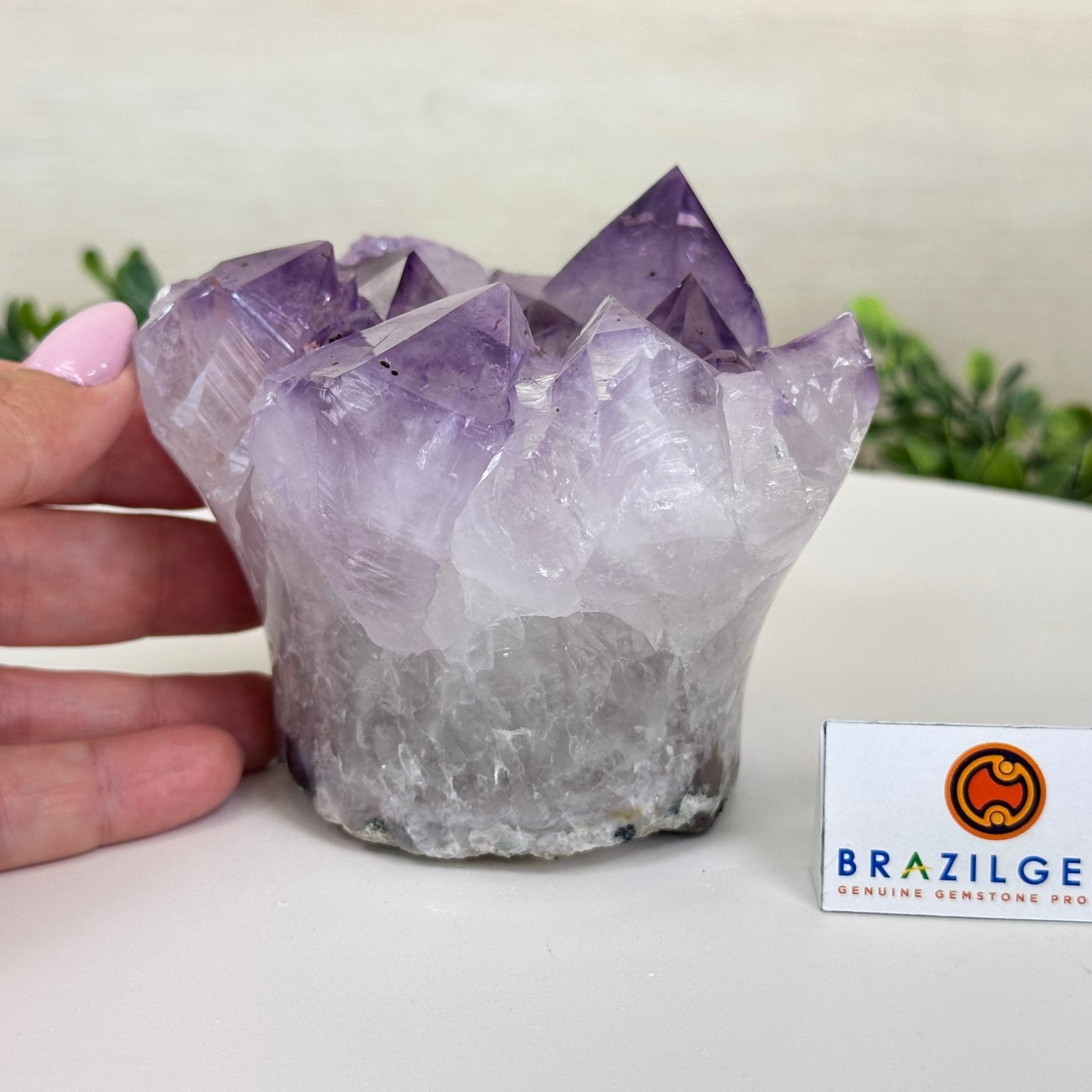 Polished Amethyst Flower 2.61 lbs & 3.6" Tall 5609 - 0041 - Brazil GemsBrazil GemsPolished Amethyst Flower 2.61 lbs & 3.6" Tall 5609 - 0041Crystal Flowers5609 - 0041