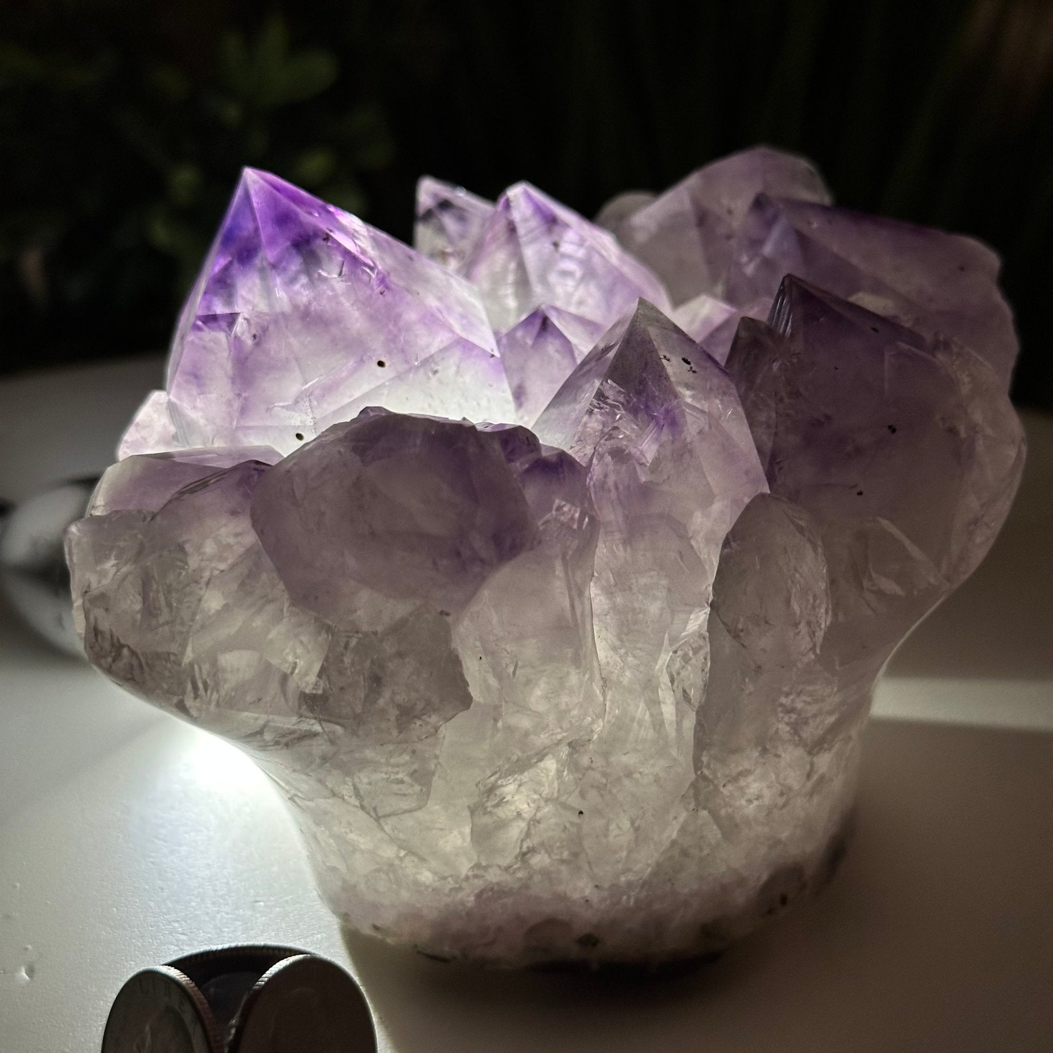 Polished Amethyst Flower 2.61 lbs & 3.6" Tall 5609 - 0041 - Brazil GemsBrazil GemsPolished Amethyst Flower 2.61 lbs & 3.6" Tall 5609 - 0041Crystal Flowers5609 - 0041