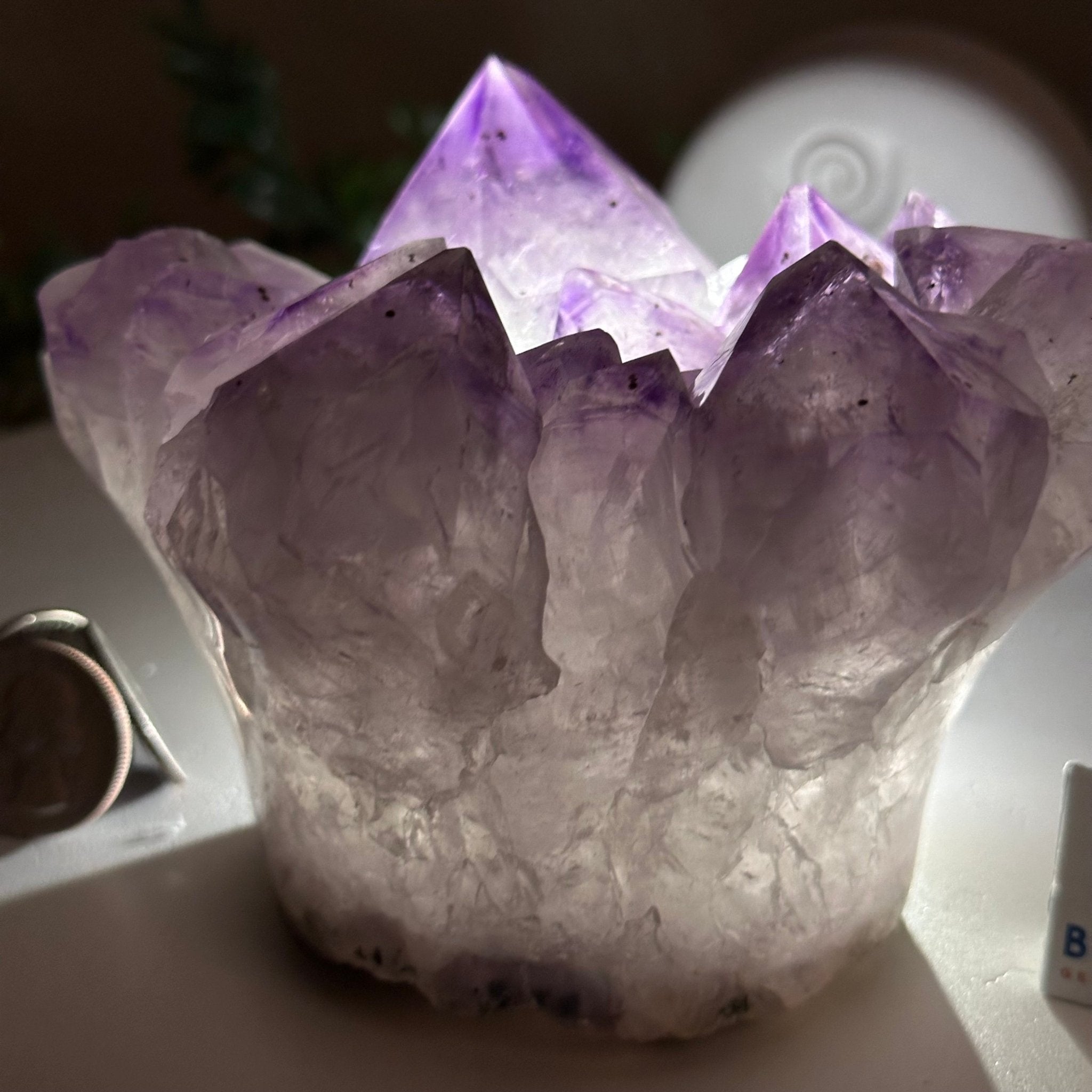 Polished Amethyst Flower 2.61 lbs & 3.6" Tall 5609 - 0041 - Brazil GemsBrazil GemsPolished Amethyst Flower 2.61 lbs & 3.6" Tall 5609 - 0041Crystal Flowers5609 - 0041