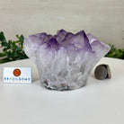 Polished Amethyst Flower 2.61 lbs & 3.6" Tall 5609 - 0041 - Brazil GemsBrazil GemsPolished Amethyst Flower 2.61 lbs & 3.6" Tall 5609 - 0041Crystal Flowers5609 - 0041