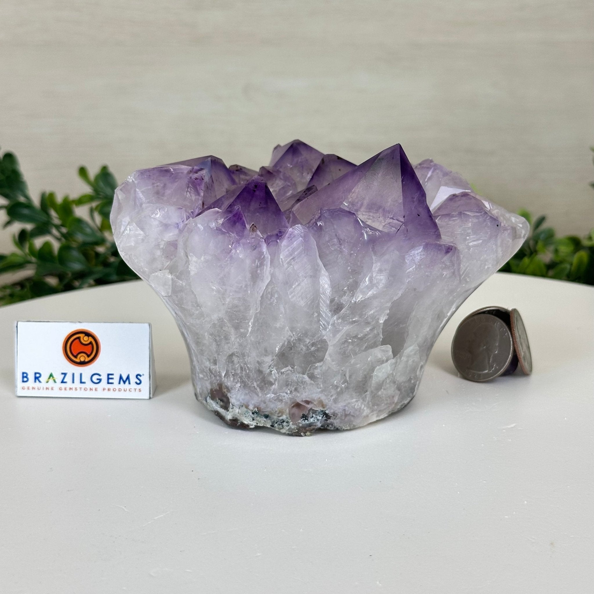 Polished Amethyst Flower 2.61 lbs & 3.6" Tall 5609 - 0041 - Brazil GemsBrazil GemsPolished Amethyst Flower 2.61 lbs & 3.6" Tall 5609 - 0041Crystal Flowers5609 - 0041