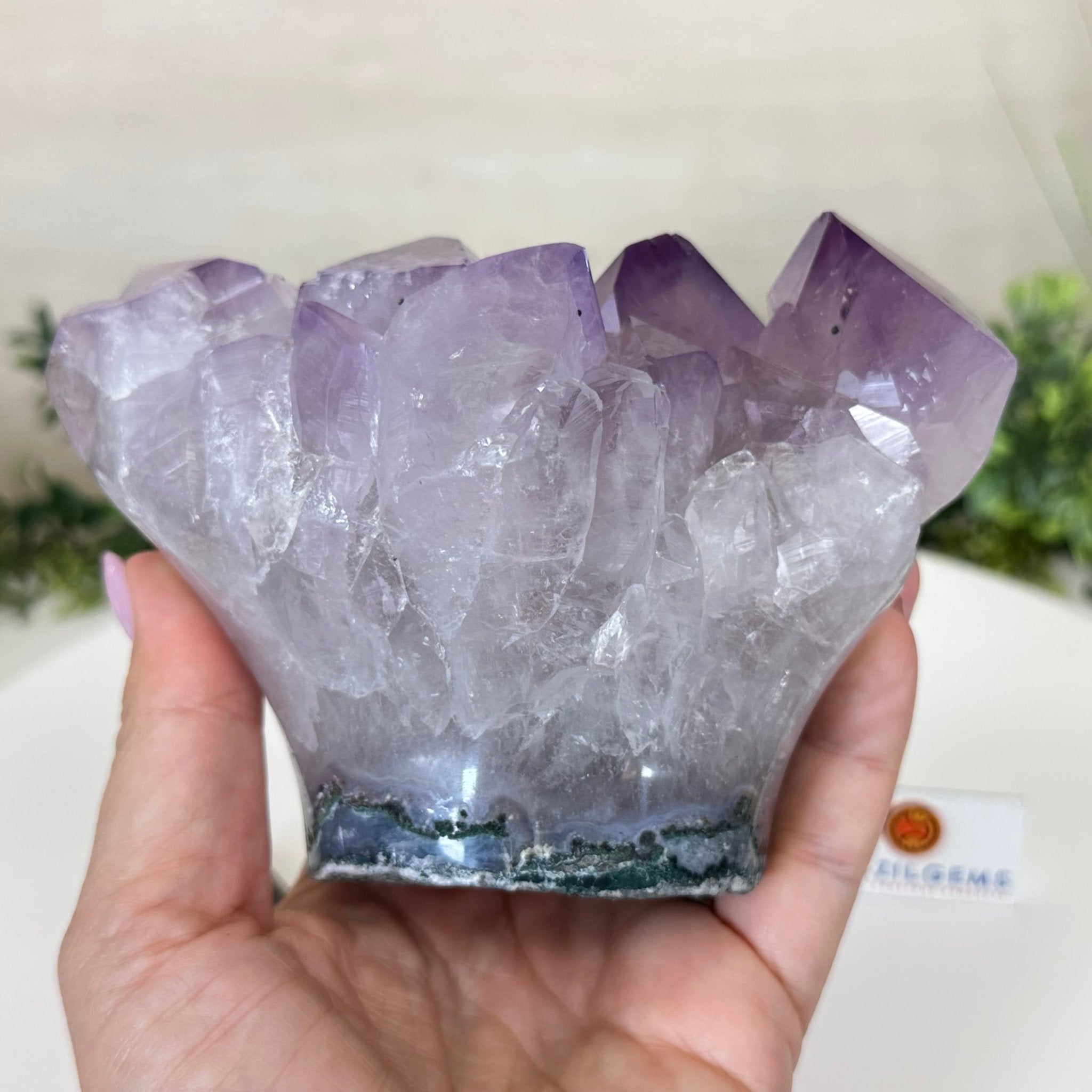 Polished Amethyst Flower 2.63 lbs & 3.8" Tall 5609 - 0042 - Brazil GemsBrazil GemsPolished Amethyst Flower 2.63 lbs & 3.8" Tall 5609 - 0042Crystal Flowers5609 - 0042