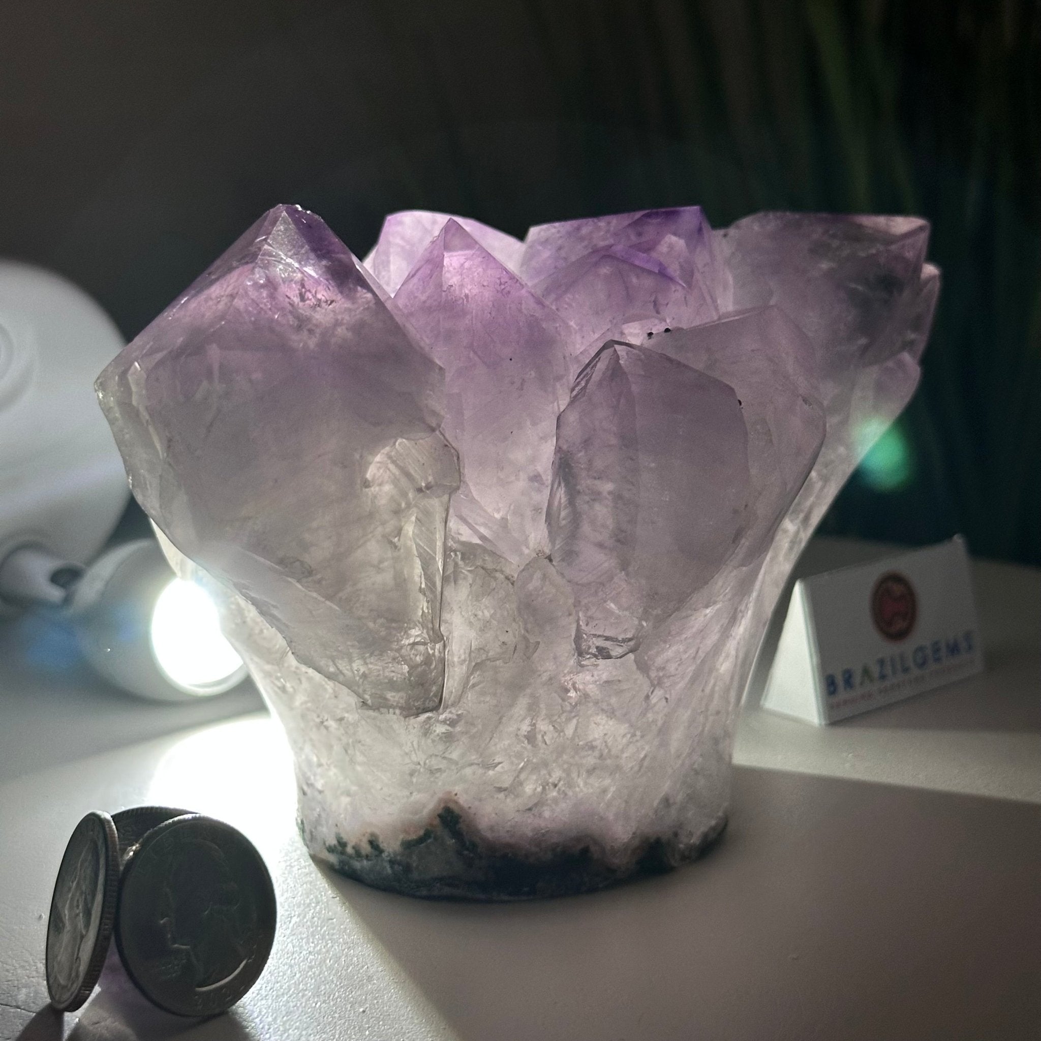 Polished Amethyst Flower 2.63 lbs & 3.8" Tall 5609 - 0042 - Brazil GemsBrazil GemsPolished Amethyst Flower 2.63 lbs & 3.8" Tall 5609 - 0042Crystal Flowers5609 - 0042