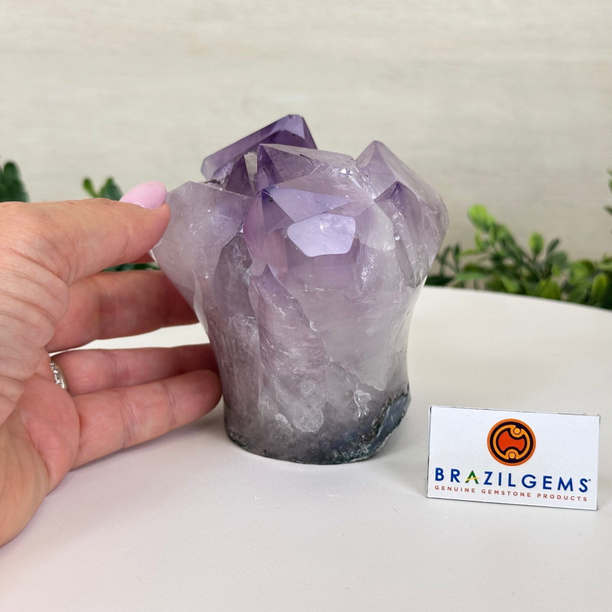 Polished Amethyst Flower 2.63 lbs & 3.8" Tall 5609 - 0042 - Brazil GemsBrazil GemsPolished Amethyst Flower 2.63 lbs & 3.8" Tall 5609 - 0042Crystal Flowers5609 - 0042