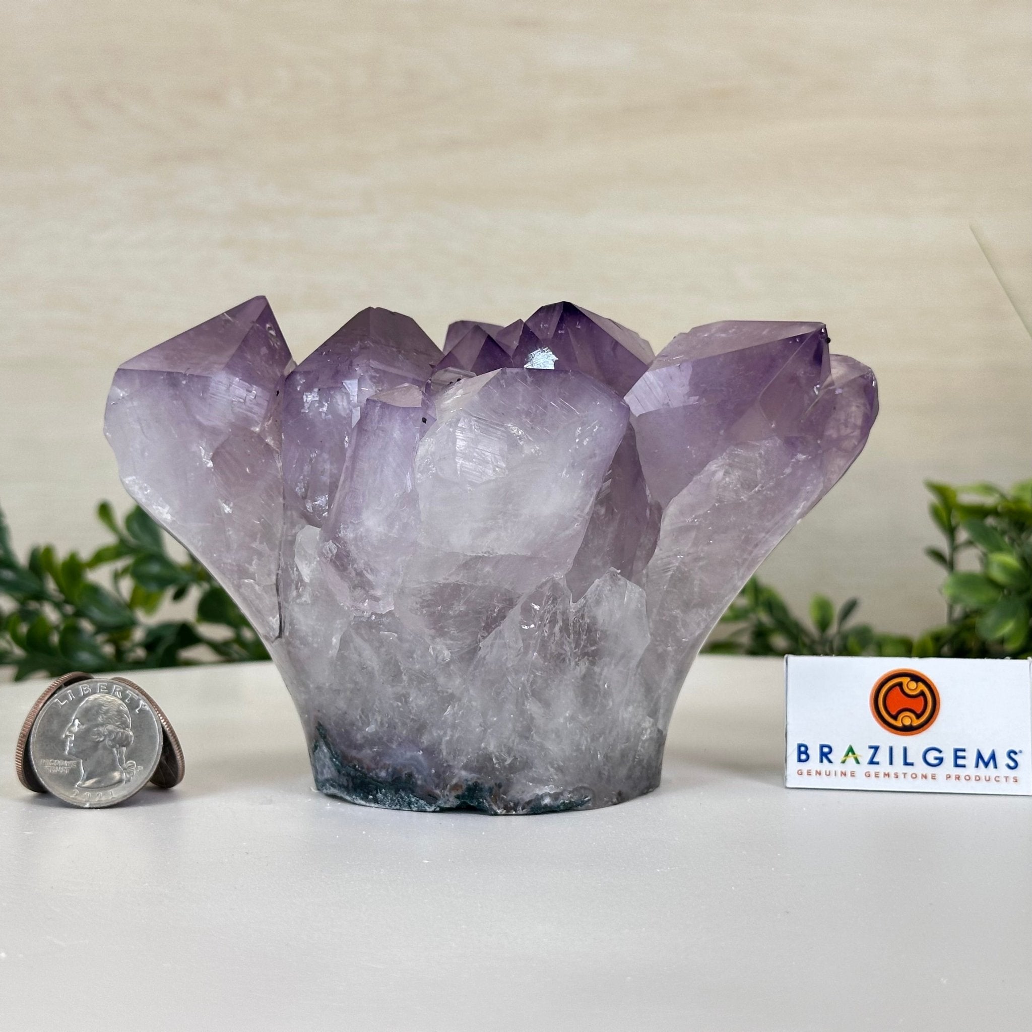 Polished Amethyst Flower 2.63 lbs & 3.8" Tall 5609 - 0042 - Brazil GemsBrazil GemsPolished Amethyst Flower 2.63 lbs & 3.8" Tall 5609 - 0042Crystal Flowers5609 - 0042
