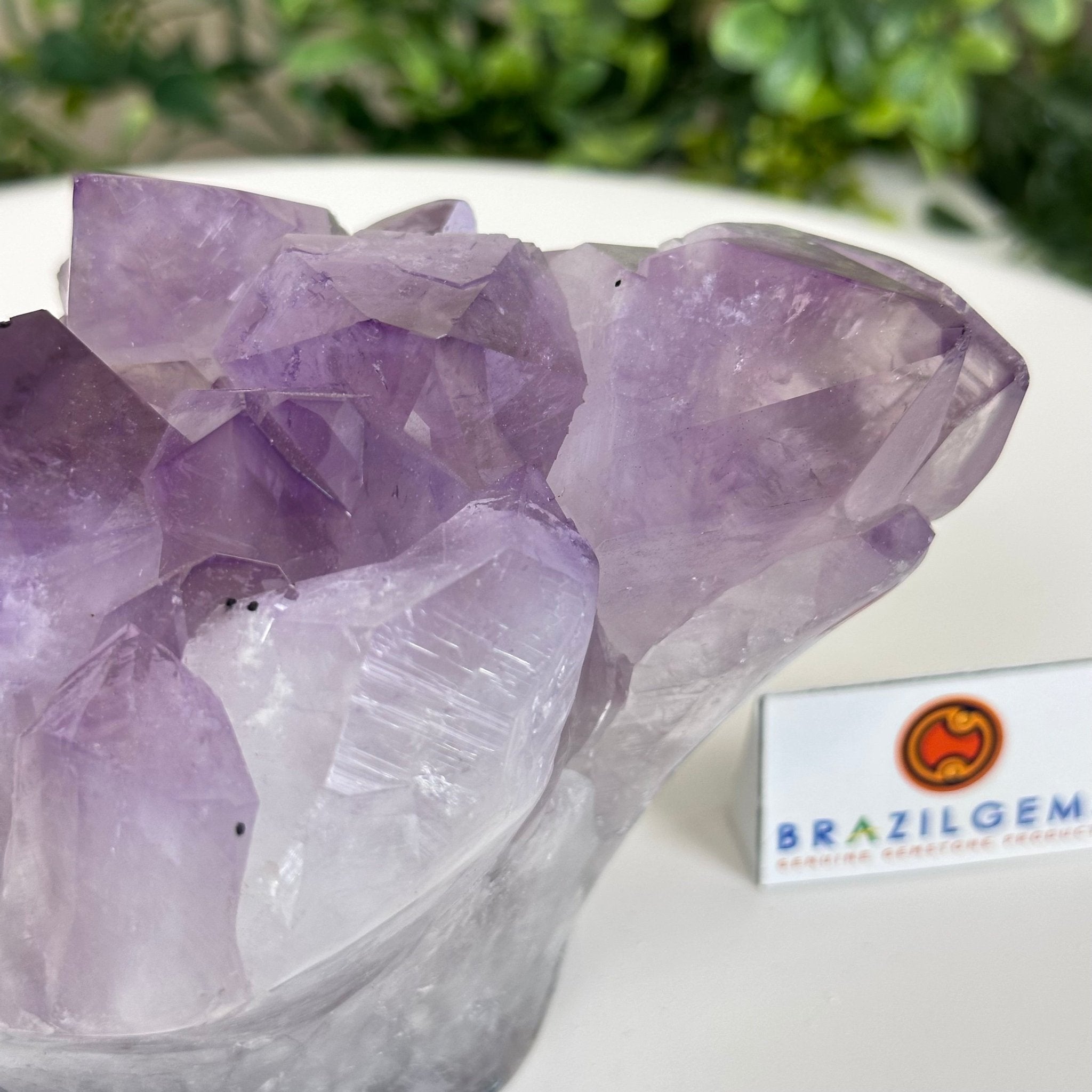 Polished Amethyst Flower 2.63 lbs & 3.8" Tall 5609 - 0042 - Brazil GemsBrazil GemsPolished Amethyst Flower 2.63 lbs & 3.8" Tall 5609 - 0042Crystal Flowers5609 - 0042