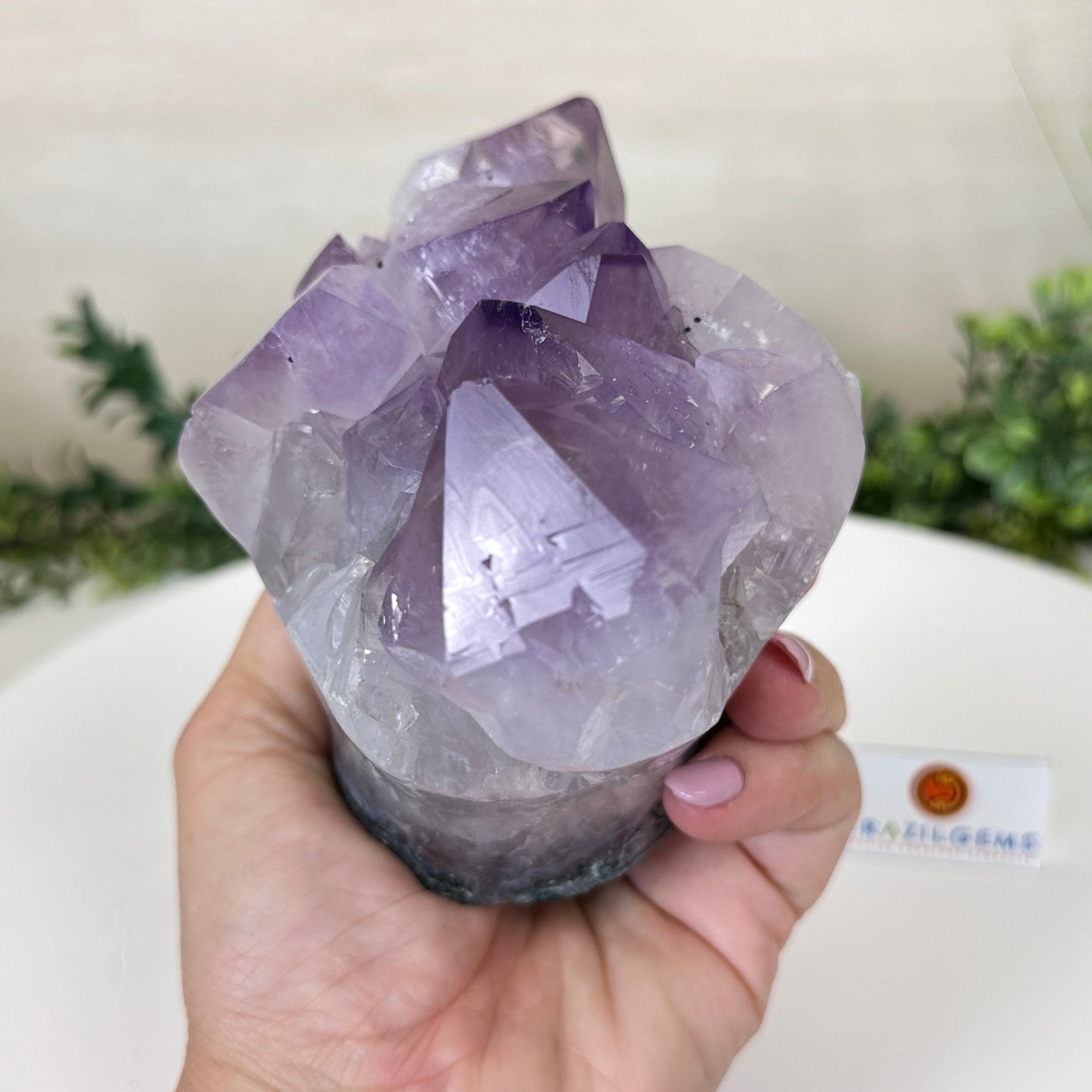 Polished Amethyst Flower 2.63 lbs & 3.8" Tall 5609 - 0042 - Brazil GemsBrazil GemsPolished Amethyst Flower 2.63 lbs & 3.8" Tall 5609 - 0042Crystal Flowers5609 - 0042