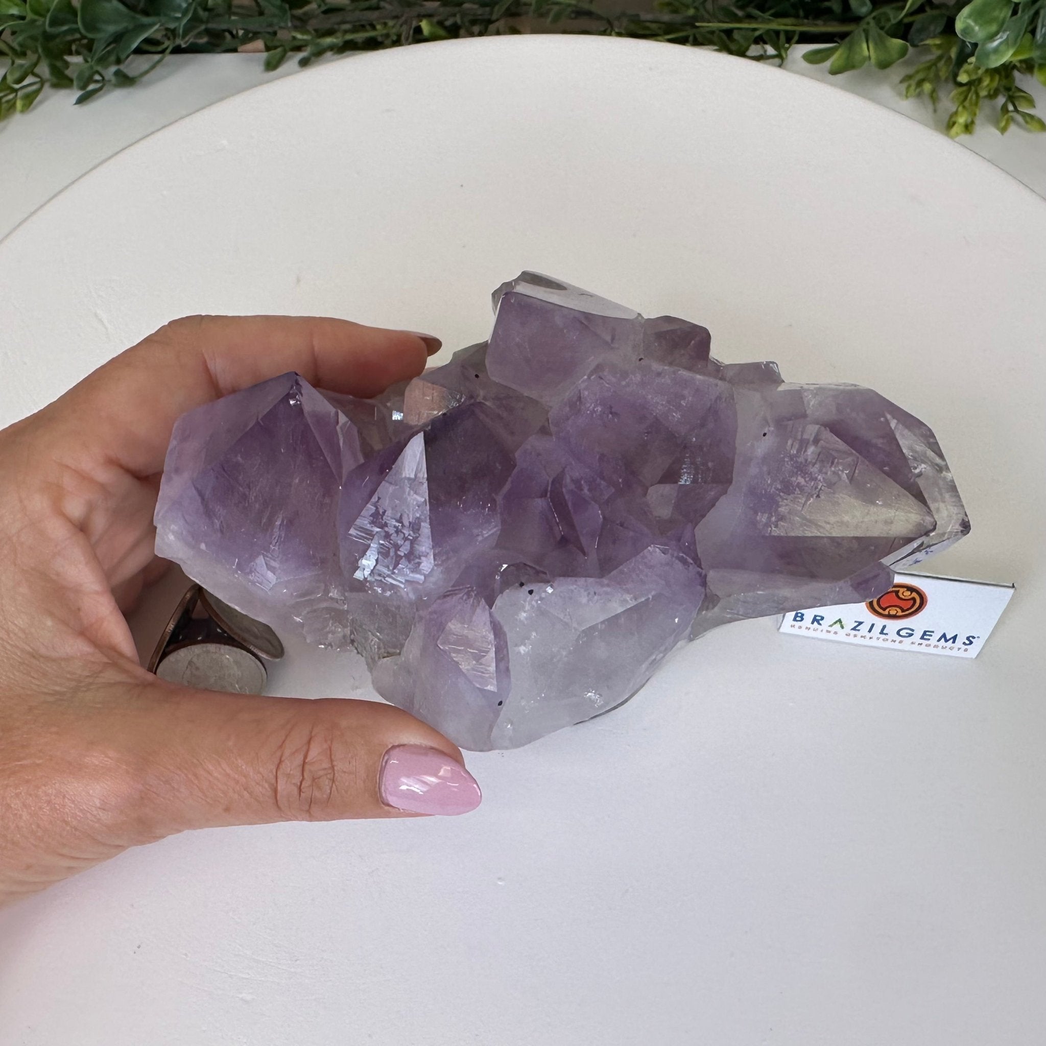 Polished Amethyst Flower 2.63 lbs & 3.8" Tall 5609 - 0042 - Brazil GemsBrazil GemsPolished Amethyst Flower 2.63 lbs & 3.8" Tall 5609 - 0042Crystal Flowers5609 - 0042