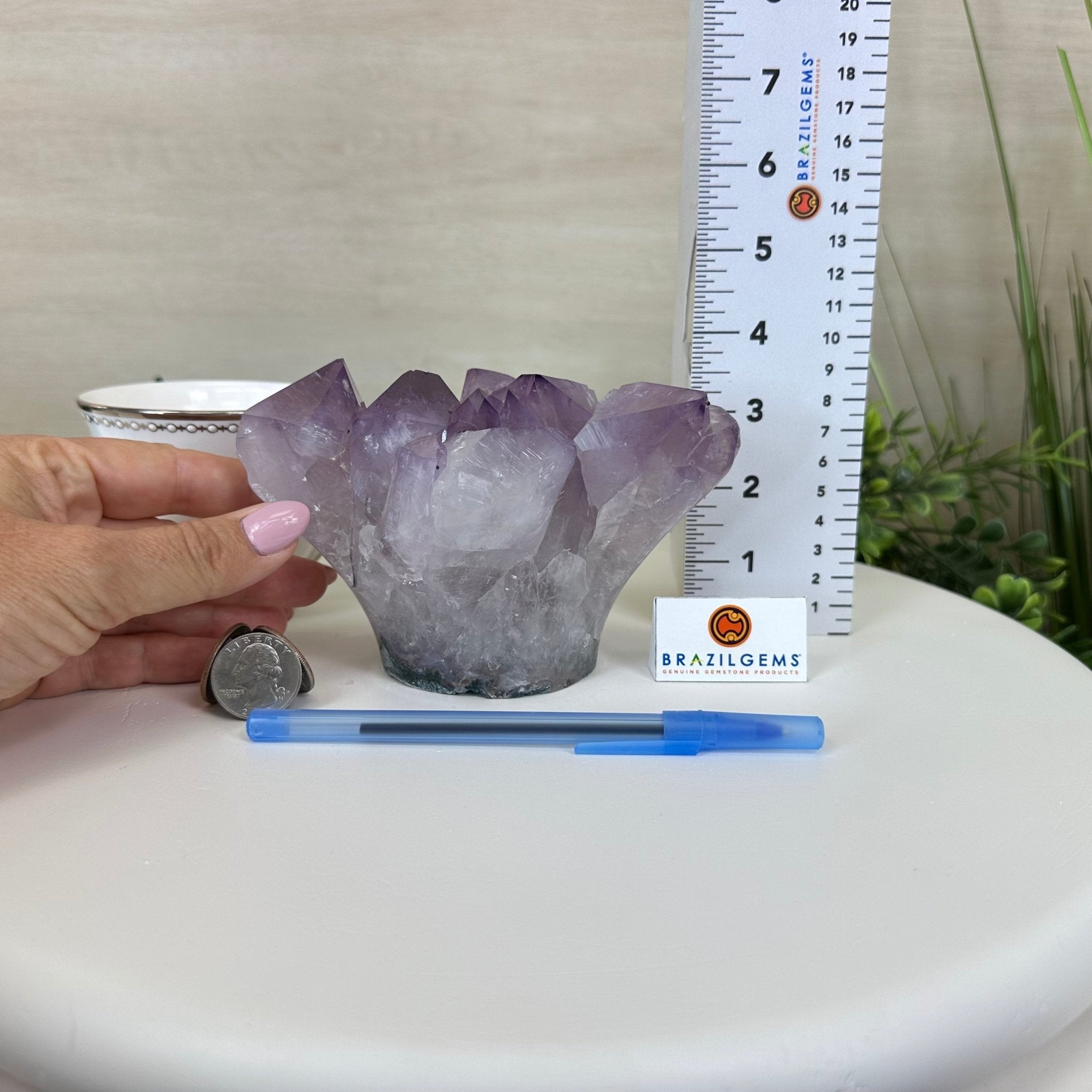 Polished Amethyst Flower 2.63 lbs & 3.8" Tall 5609 - 0042 - Brazil GemsBrazil GemsPolished Amethyst Flower 2.63 lbs & 3.8" Tall 5609 - 0042Crystal Flowers5609 - 0042
