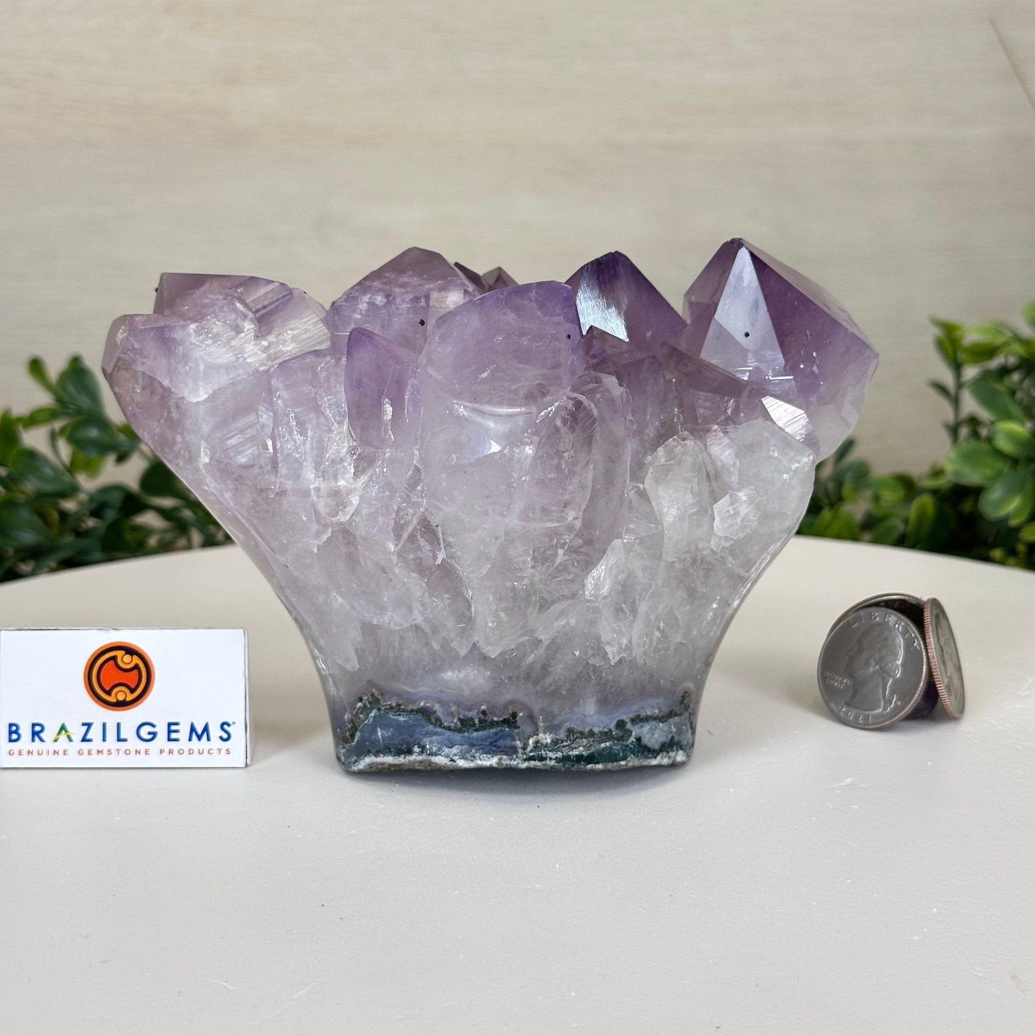 Polished Amethyst Flower 2.63 lbs & 3.8" Tall 5609 - 0042 - Brazil GemsBrazil GemsPolished Amethyst Flower 2.63 lbs & 3.8" Tall 5609 - 0042Crystal Flowers5609 - 0042