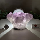 Polished Amethyst Flower 2.63 lbs & 3.8" Tall 5609 - 0042 - Brazil GemsBrazil GemsPolished Amethyst Flower 2.63 lbs & 3.8" Tall 5609 - 0042Crystal Flowers5609 - 0042