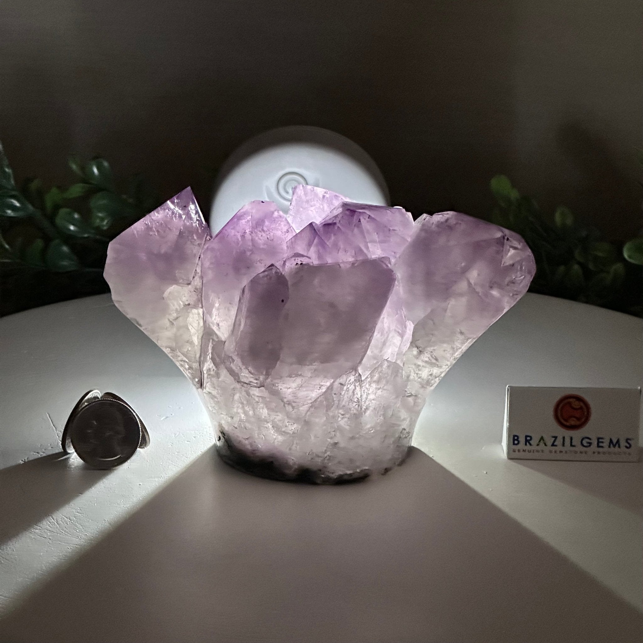 Polished Amethyst Flower 2.63 lbs & 3.8" Tall 5609 - 0042 - Brazil GemsBrazil GemsPolished Amethyst Flower 2.63 lbs & 3.8" Tall 5609 - 0042Crystal Flowers5609 - 0042