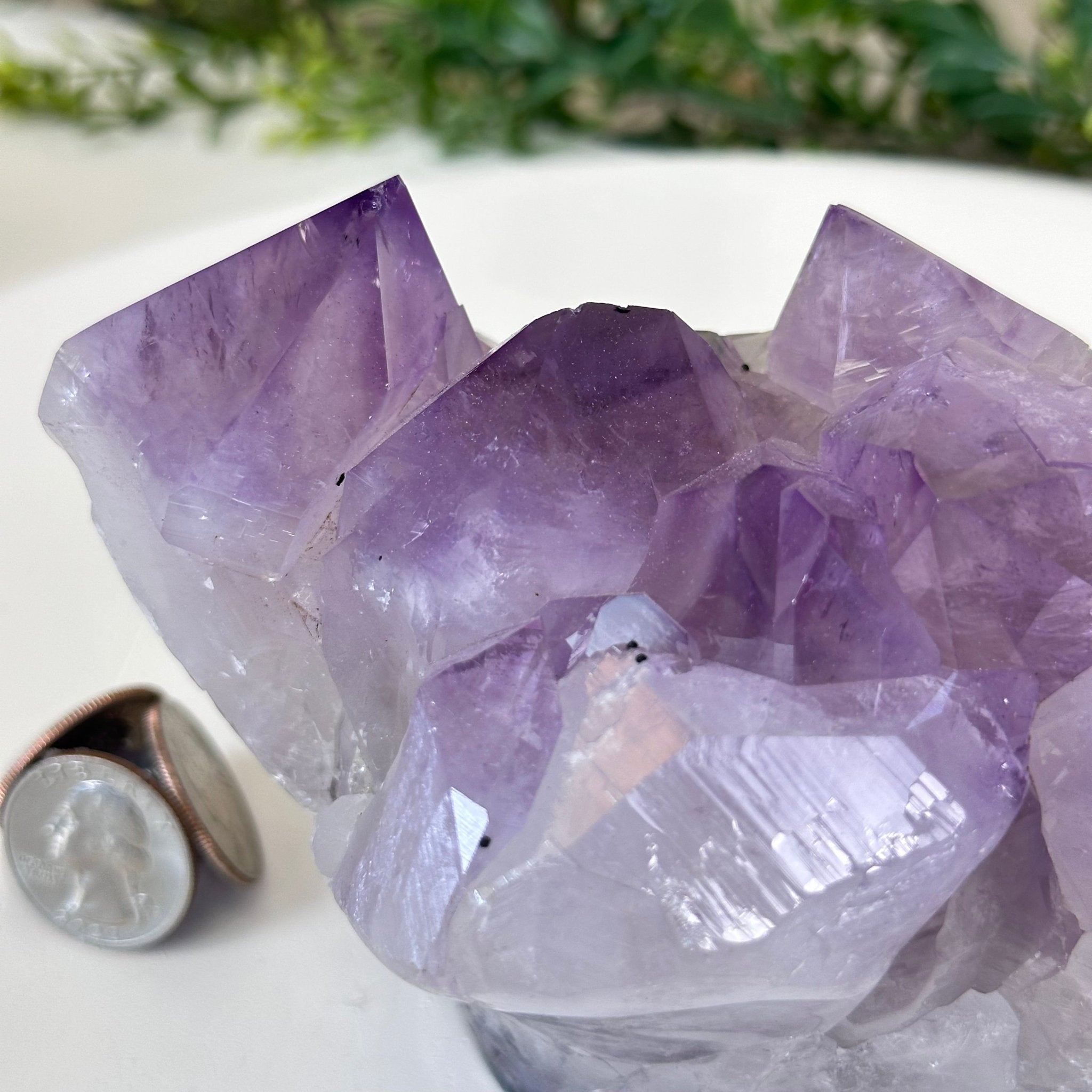 Polished Amethyst Flower 2.63 lbs & 3.8" Tall 5609 - 0042 - Brazil GemsBrazil GemsPolished Amethyst Flower 2.63 lbs & 3.8" Tall 5609 - 0042Crystal Flowers5609 - 0042