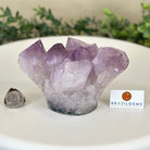 Polished Amethyst Flower 2.63 lbs & 3.8" Tall 5609 - 0042 - Brazil GemsBrazil GemsPolished Amethyst Flower 2.63 lbs & 3.8" Tall 5609 - 0042Crystal Flowers5609 - 0042