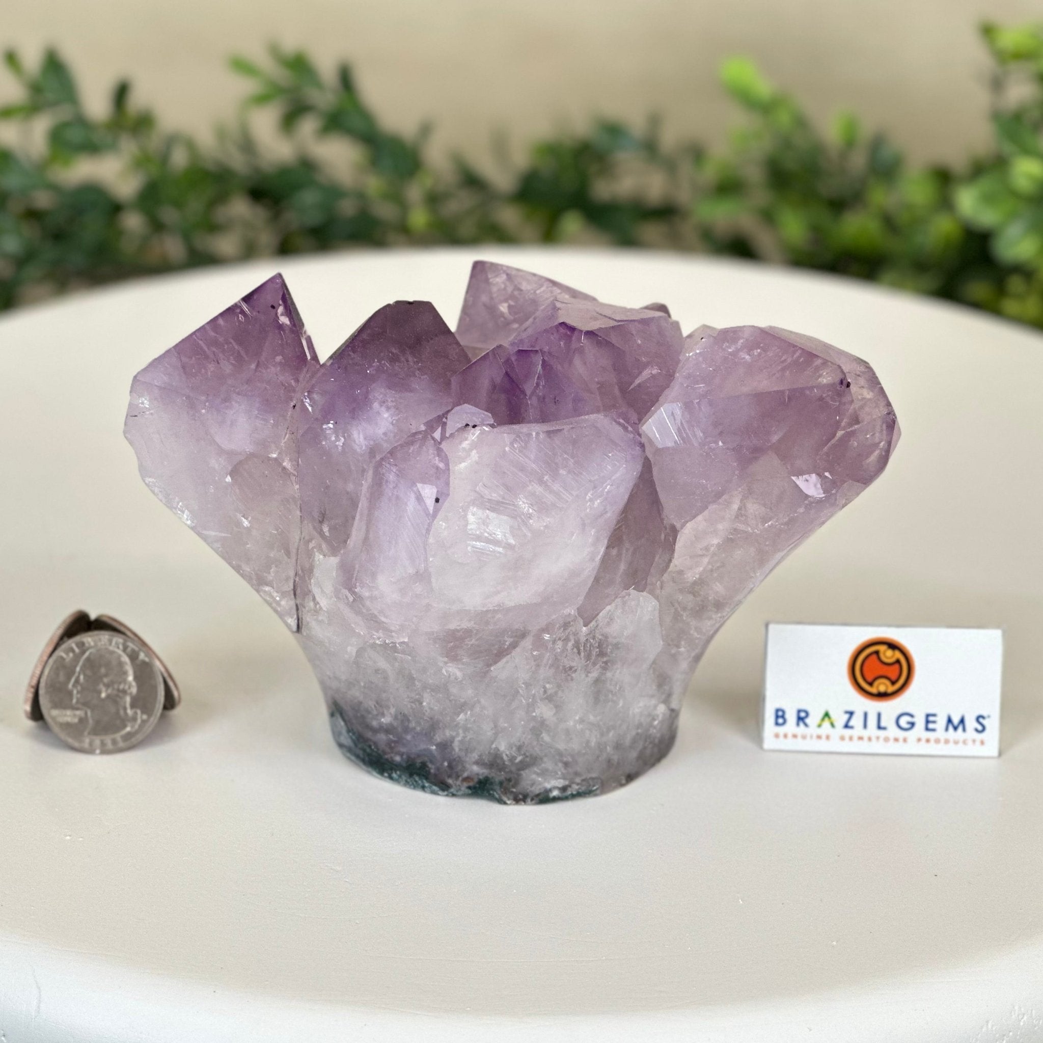 Polished Amethyst Flower 2.63 lbs & 3.8" Tall 5609 - 0042 - Brazil GemsBrazil GemsPolished Amethyst Flower 2.63 lbs & 3.8" Tall 5609 - 0042Crystal Flowers5609 - 0042