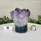Polished Amethyst Flower 3.20 lbs & 4.6" Tall 5609 - 0043 - Brazil GemsBrazil GemsPolished Amethyst Flower 3.20 lbs & 4.6" Tall 5609 - 0043Crystal Flowers5609 - 0043