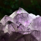 Polished Amethyst Flower 3.20 lbs & 4.6" Tall 5609 - 0043 - Brazil GemsBrazil GemsPolished Amethyst Flower 3.20 lbs & 4.6" Tall 5609 - 0043Crystal Flowers5609 - 0043