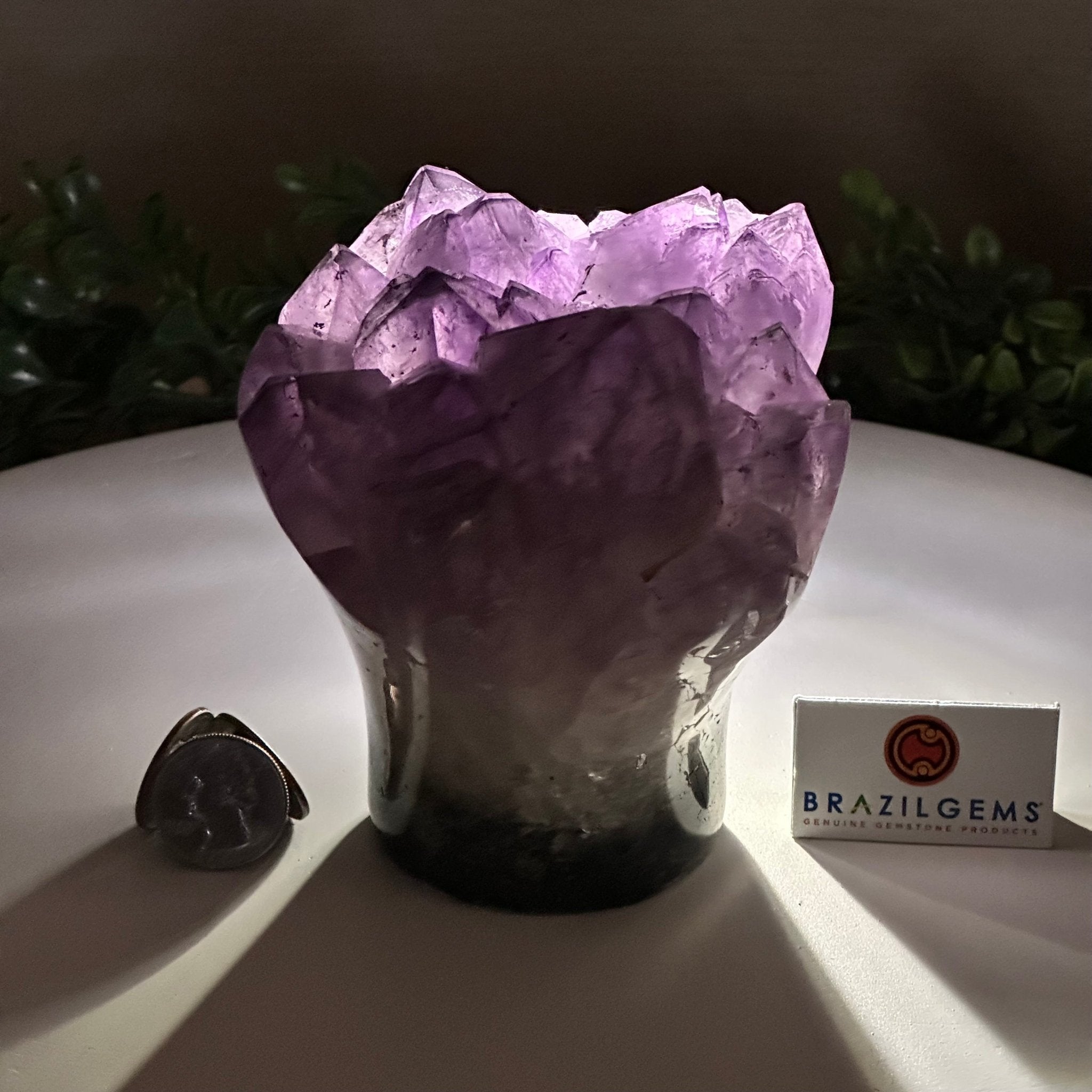 Polished Amethyst Flower 3.20 lbs & 4.6" Tall 5609 - 0043 - Brazil GemsBrazil GemsPolished Amethyst Flower 3.20 lbs & 4.6" Tall 5609 - 0043Crystal Flowers5609 - 0043