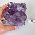 Polished Amethyst Flower 3.20 lbs & 4.6" Tall 5609 - 0043 - Brazil GemsBrazil GemsPolished Amethyst Flower 3.20 lbs & 4.6" Tall 5609 - 0043Crystal Flowers5609 - 0043