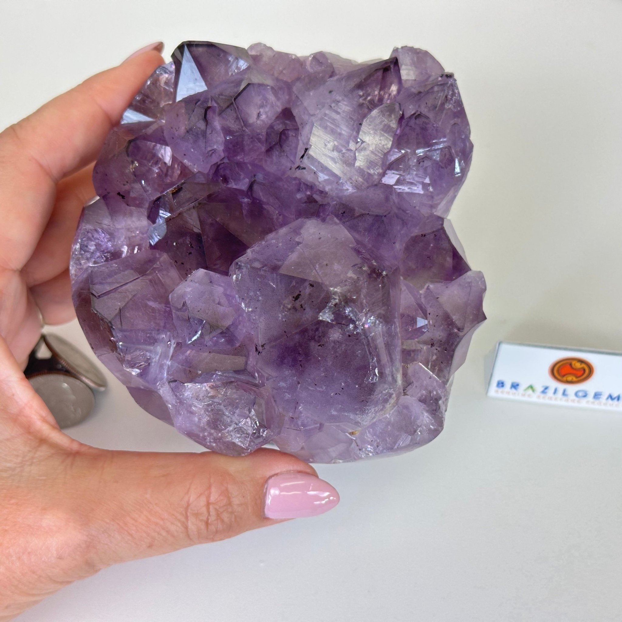 Polished Amethyst Flower 3.20 lbs & 4.6" Tall 5609 - 0043 - Brazil GemsBrazil GemsPolished Amethyst Flower 3.20 lbs & 4.6" Tall 5609 - 0043Crystal Flowers5609 - 0043