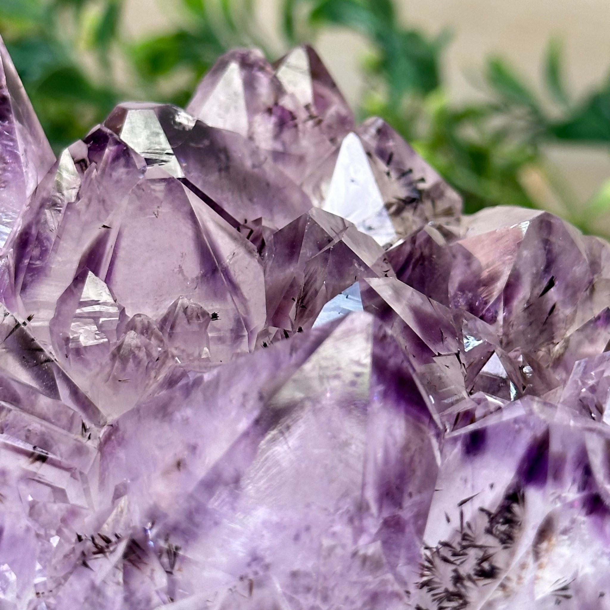 Polished Amethyst Flower 3.35 lbs & 4.8" Tall 5609 - 0044 - Brazil GemsBrazil GemsPolished Amethyst Flower 3.35 lbs & 4.8" Tall 5609 - 0044Crystal Flowers5609 - 0044