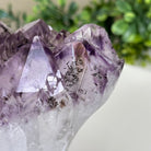 Polished Amethyst Flower 3.35 lbs & 4.8" Tall 5609 - 0044 - Brazil GemsBrazil GemsPolished Amethyst Flower 3.35 lbs & 4.8" Tall 5609 - 0044Crystal Flowers5609 - 0044