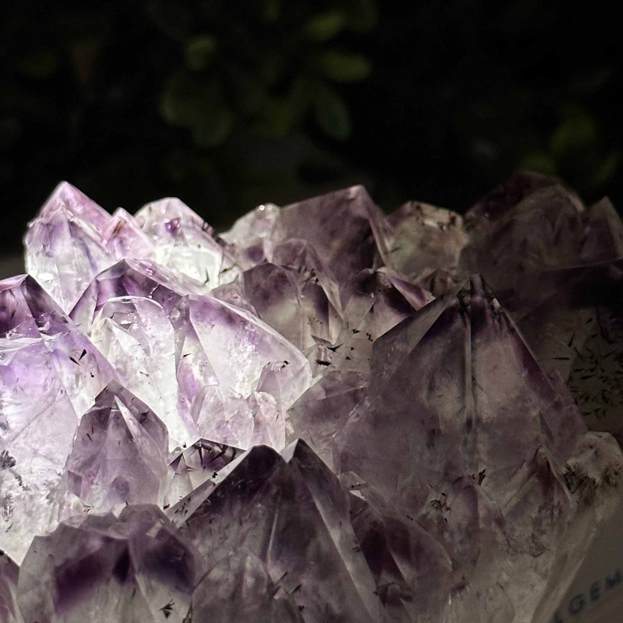 Polished Amethyst Flower 3.35 lbs & 4.8" Tall 5609 - 0044 - Brazil GemsBrazil GemsPolished Amethyst Flower 3.35 lbs & 4.8" Tall 5609 - 0044Crystal Flowers5609 - 0044