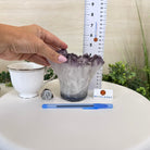 Polished Amethyst Flower 3.35 lbs & 4.8" Tall 5609 - 0044 - Brazil GemsBrazil GemsPolished Amethyst Flower 3.35 lbs & 4.8" Tall 5609 - 0044Crystal Flowers5609 - 0044