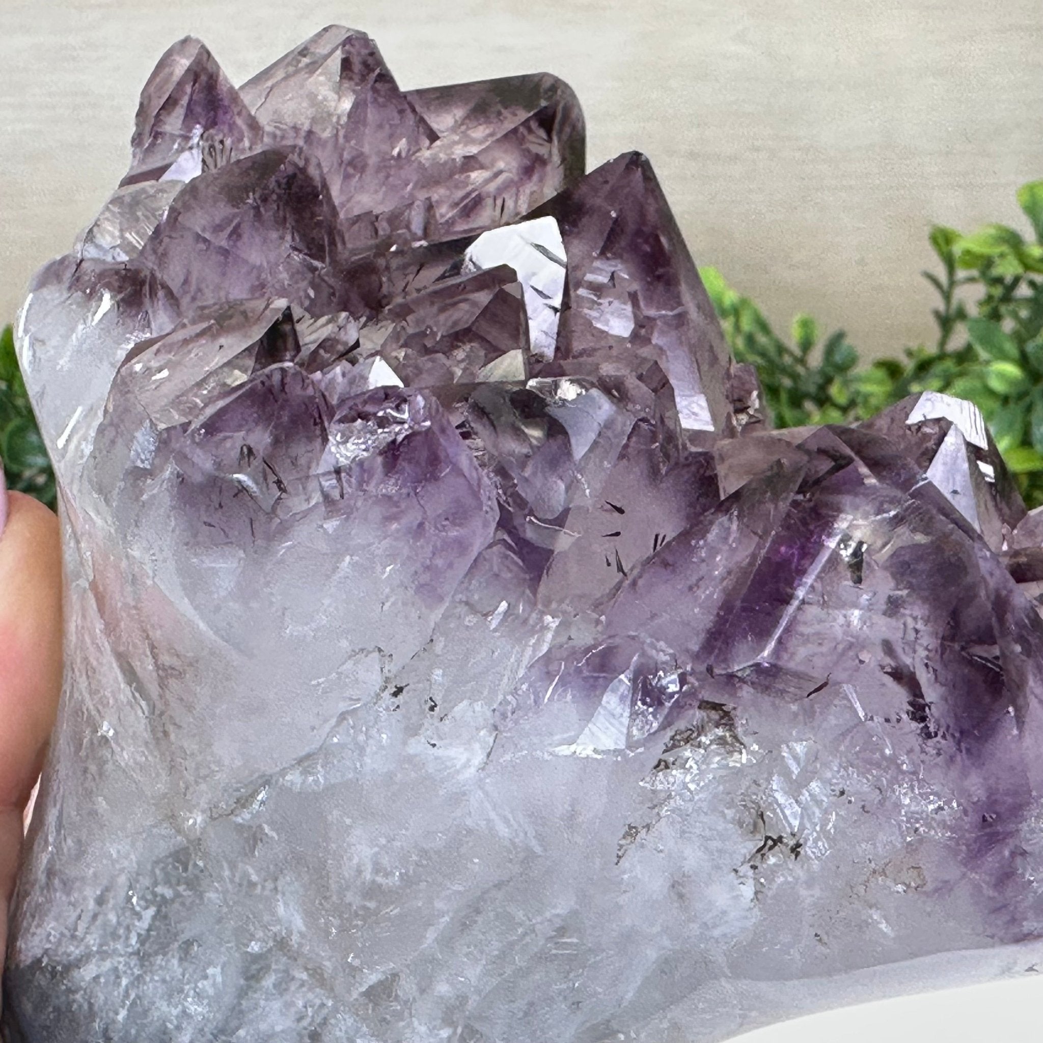 Polished Amethyst Flower 3.35 lbs & 4.8" Tall 5609 - 0044 - Brazil GemsBrazil GemsPolished Amethyst Flower 3.35 lbs & 4.8" Tall 5609 - 0044Crystal Flowers5609 - 0044