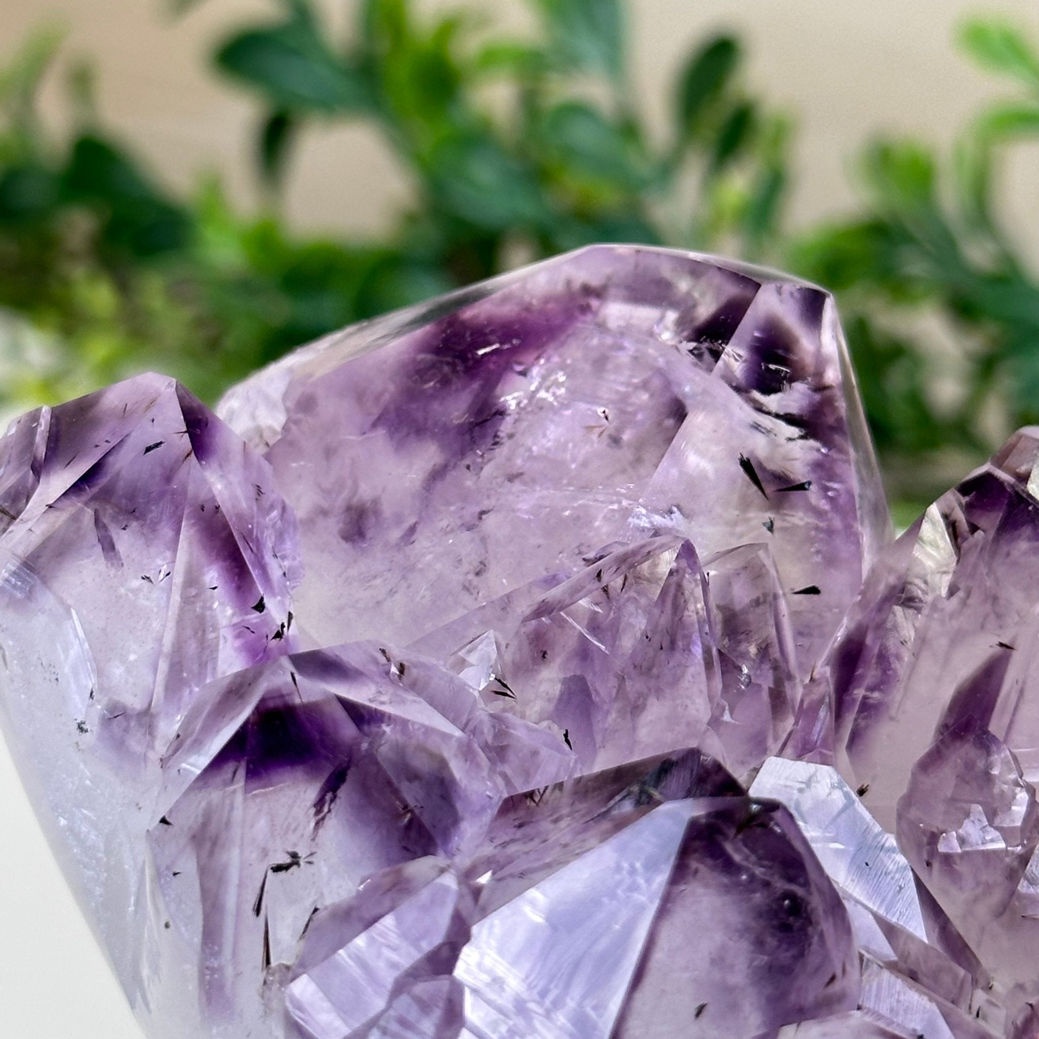 Polished Amethyst Flower 3.35 lbs & 4.8" Tall 5609 - 0044 - Brazil GemsBrazil GemsPolished Amethyst Flower 3.35 lbs & 4.8" Tall 5609 - 0044Crystal Flowers5609 - 0044