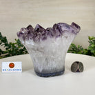Polished Amethyst Flower 3.35 lbs & 4.8" Tall 5609 - 0044 - Brazil GemsBrazil GemsPolished Amethyst Flower 3.35 lbs & 4.8" Tall 5609 - 0044Crystal Flowers5609 - 0044