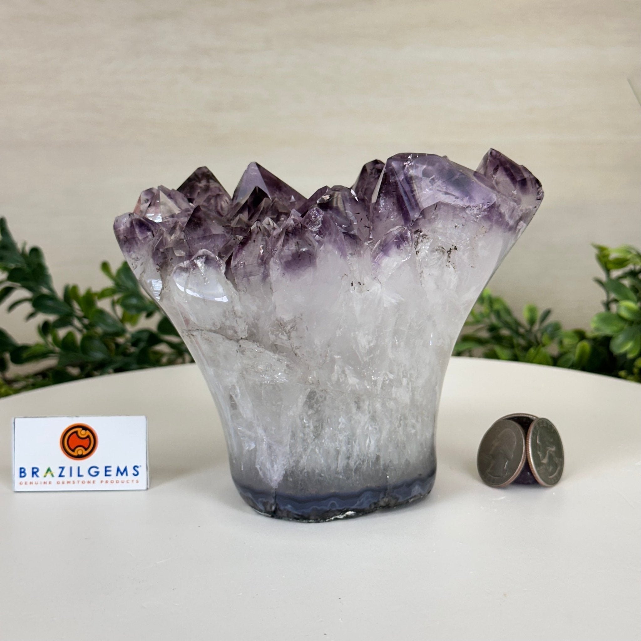 Polished Amethyst Flower 3.35 lbs & 4.8" Tall 5609 - 0044 - Brazil GemsBrazil GemsPolished Amethyst Flower 3.35 lbs & 4.8" Tall 5609 - 0044Crystal Flowers5609 - 0044