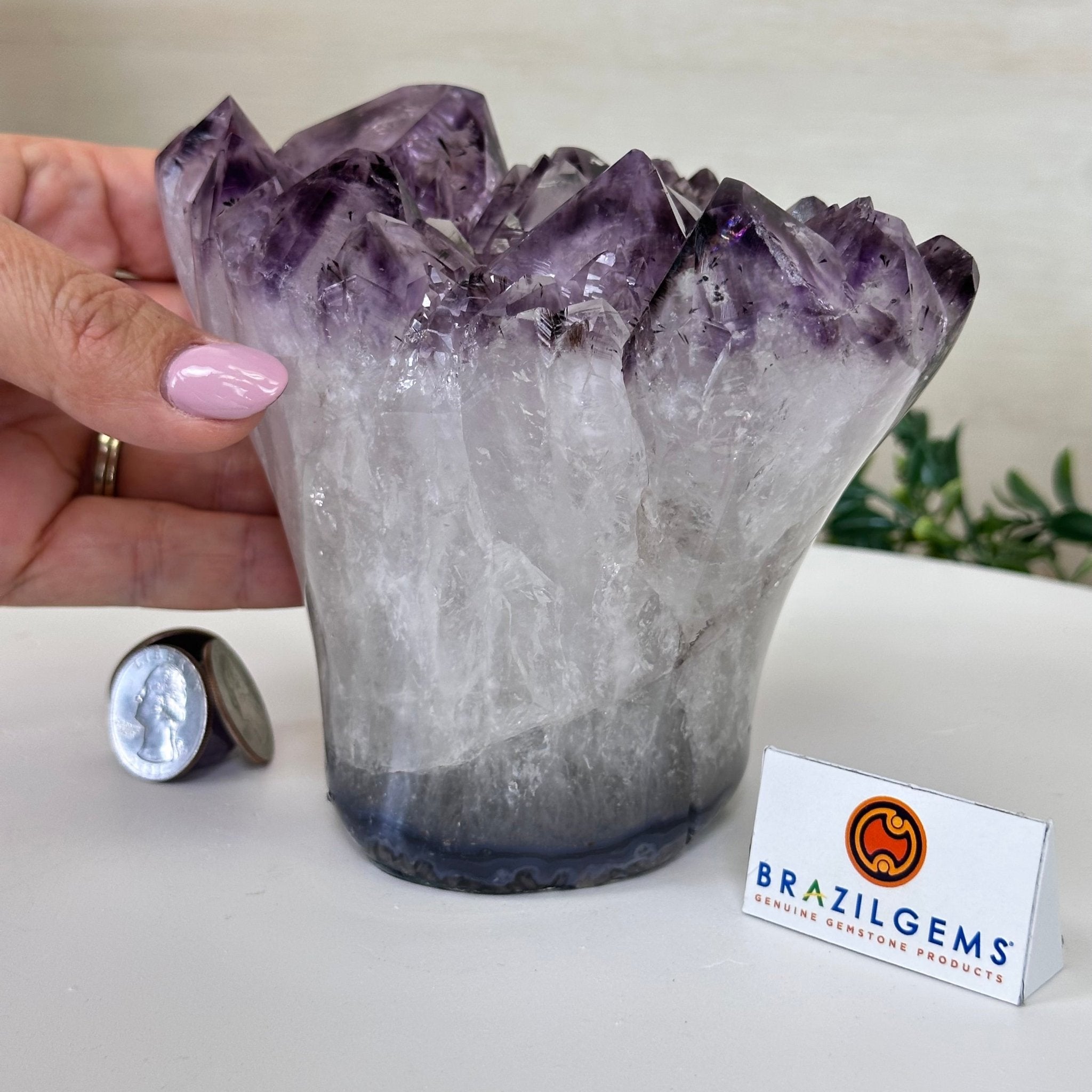 Polished Amethyst Flower 3.35 lbs & 4.8" Tall 5609 - 0044 - Brazil GemsBrazil GemsPolished Amethyst Flower 3.35 lbs & 4.8" Tall 5609 - 0044Crystal Flowers5609 - 0044