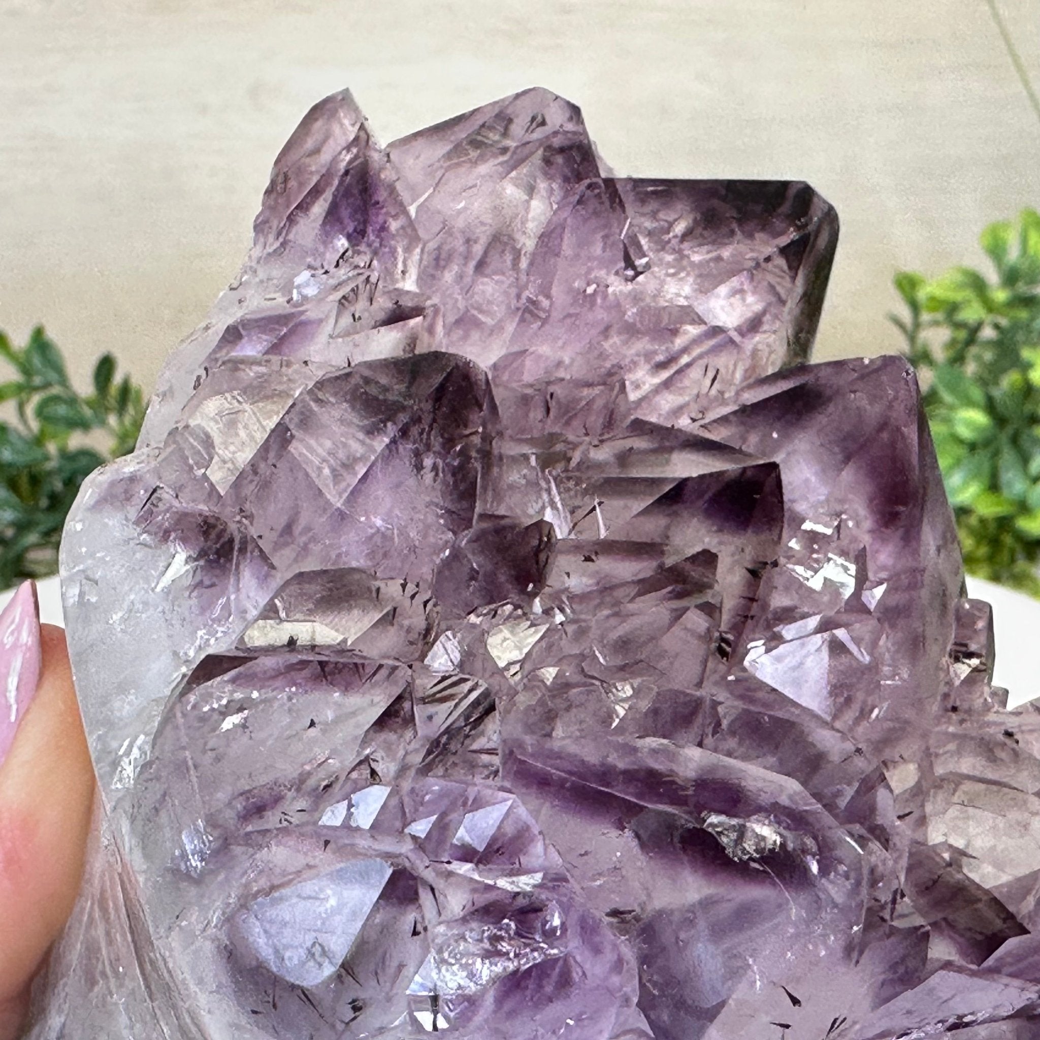 Polished Amethyst Flower 3.35 lbs & 4.8" Tall 5609 - 0044 - Brazil GemsBrazil GemsPolished Amethyst Flower 3.35 lbs & 4.8" Tall 5609 - 0044Crystal Flowers5609 - 0044