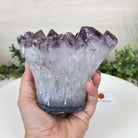 Polished Amethyst Flower 3.35 lbs & 4.8" Tall 5609 - 0044 - Brazil GemsBrazil GemsPolished Amethyst Flower 3.35 lbs & 4.8" Tall 5609 - 0044Crystal Flowers5609 - 0044