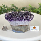 Polished Amethyst Flower 4.62 lbs & 3.8" Tall 5609 - 0045 - Brazil GemsBrazil GemsPolished Amethyst Flower 4.62 lbs & 3.8" Tall 5609 - 0045Crystal Flowers5609 - 0045