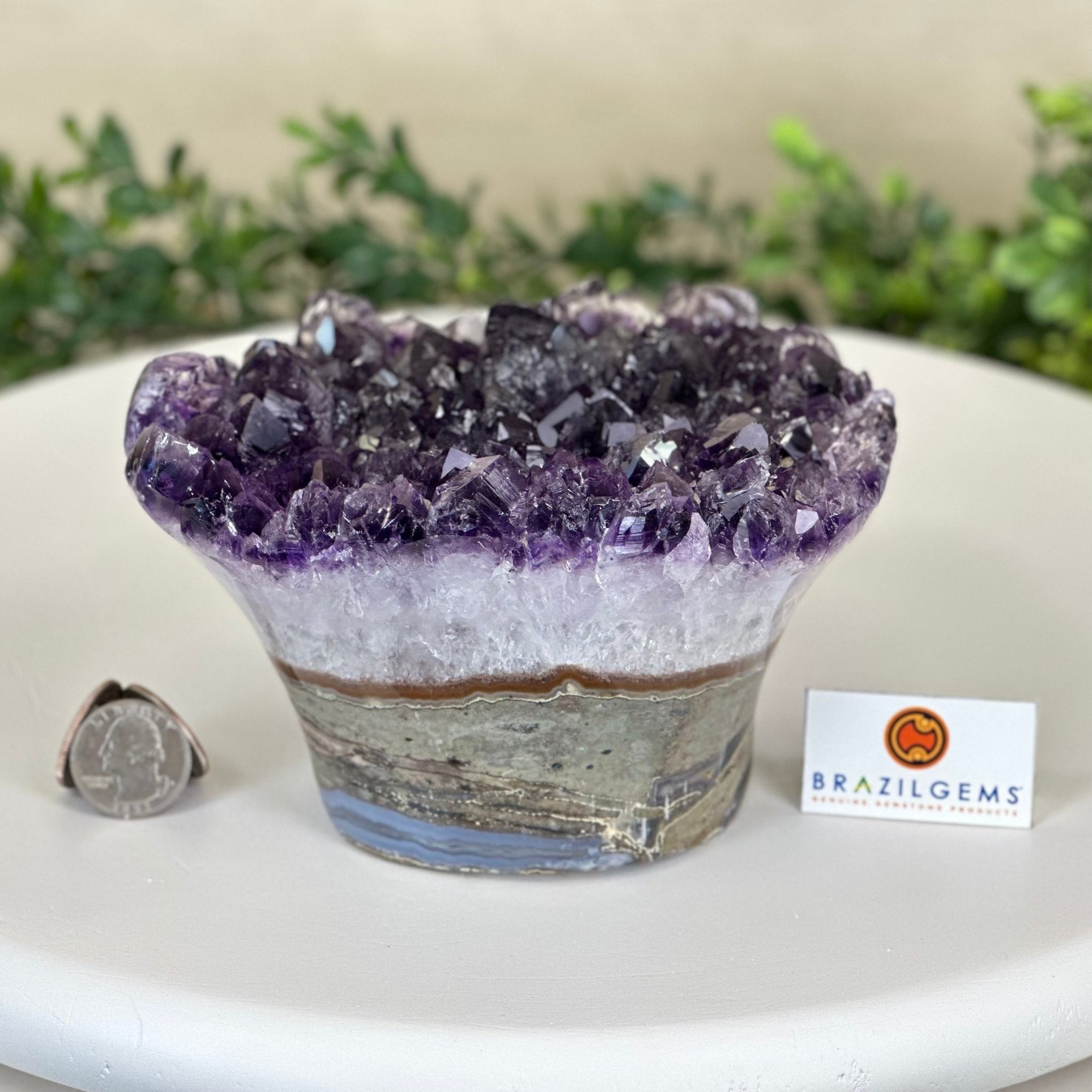 Polished Amethyst Flower 4.62 lbs & 3.8" Tall 5609 - 0045 - Brazil GemsBrazil GemsPolished Amethyst Flower 4.62 lbs & 3.8" Tall 5609 - 0045Crystal Flowers5609 - 0045