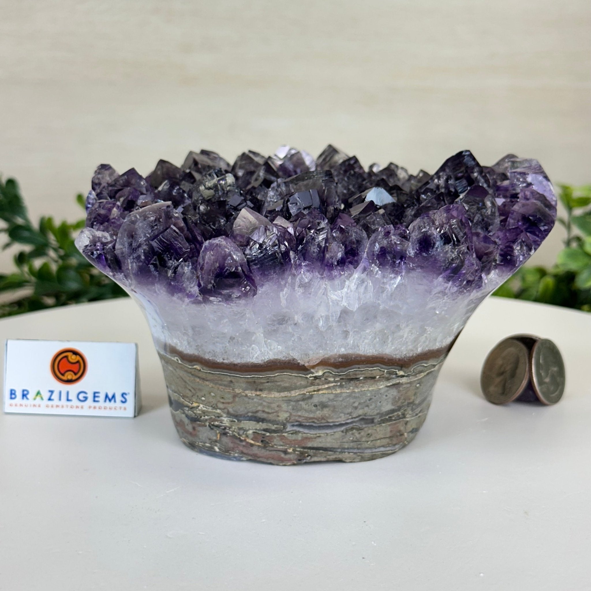 Polished Amethyst Flower 4.62 lbs & 3.8" Tall 5609 - 0045 - Brazil GemsBrazil GemsPolished Amethyst Flower 4.62 lbs & 3.8" Tall 5609 - 0045Crystal Flowers5609 - 0045
