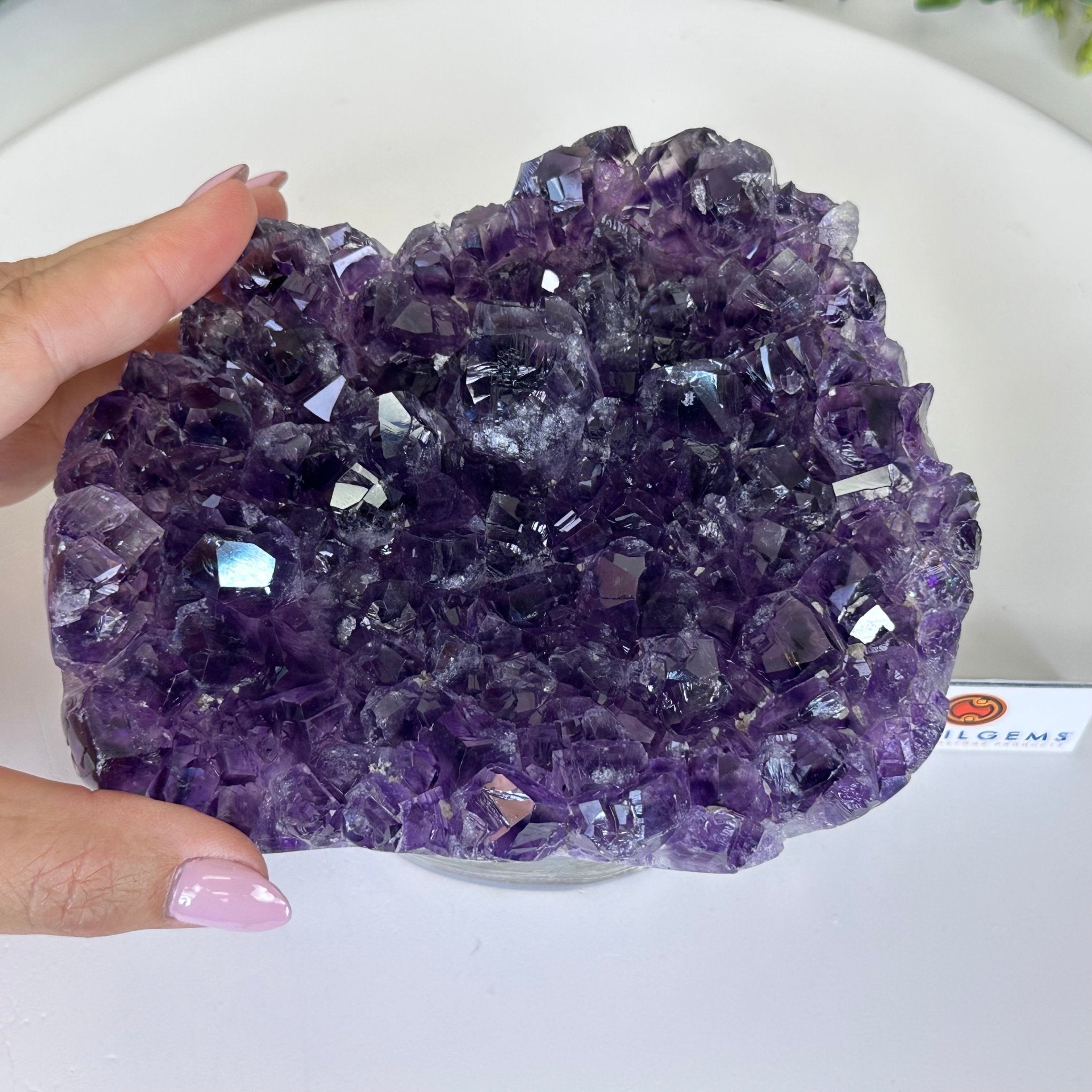Polished Amethyst Flower 4.62 lbs & 3.8" Tall 5609 - 0045 - Brazil GemsBrazil GemsPolished Amethyst Flower 4.62 lbs & 3.8" Tall 5609 - 0045Crystal Flowers5609 - 0045