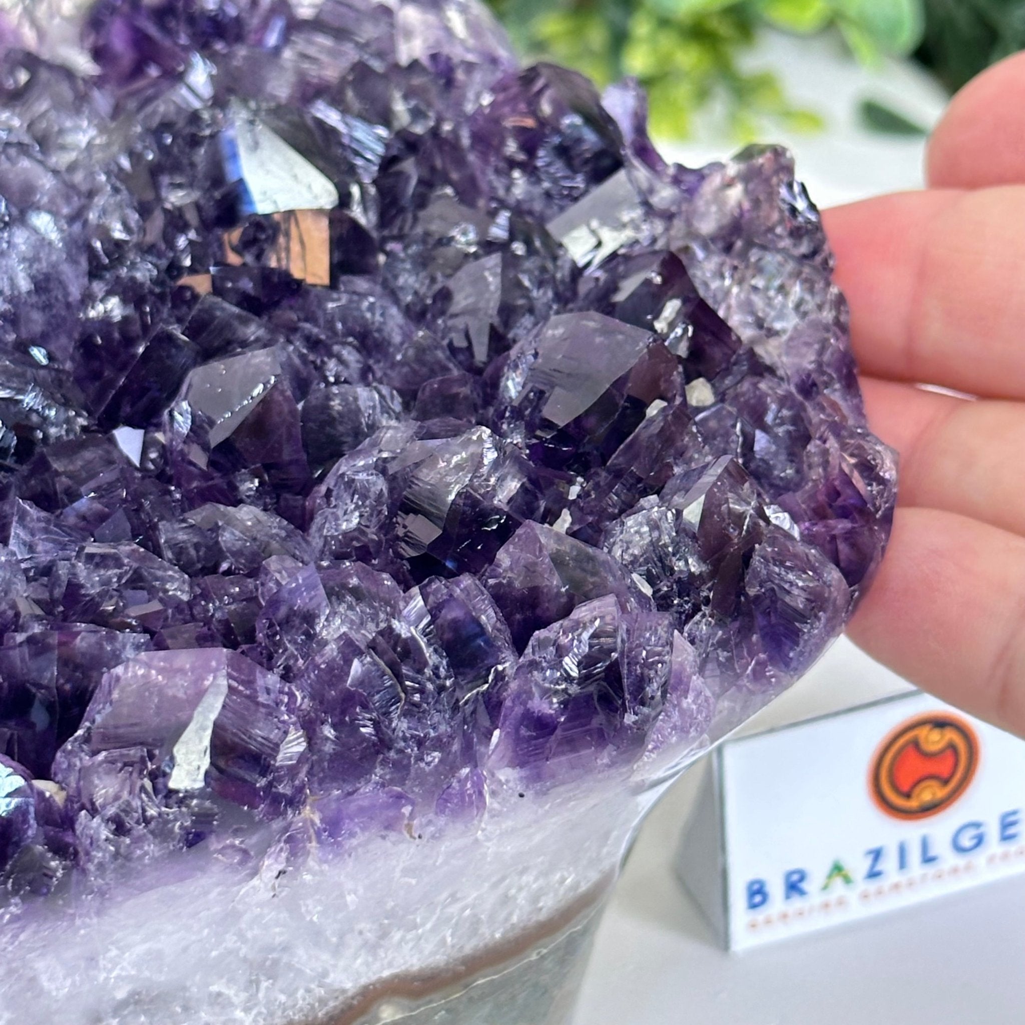 Polished Amethyst Flower 4.62 lbs & 3.8" Tall 5609 - 0045 - Brazil GemsBrazil GemsPolished Amethyst Flower 4.62 lbs & 3.8" Tall 5609 - 0045Crystal Flowers5609 - 0045