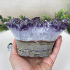 Polished Amethyst Flower 4.62 lbs & 3.8" Tall 5609 - 0045 - Brazil GemsBrazil GemsPolished Amethyst Flower 4.62 lbs & 3.8" Tall 5609 - 0045Crystal Flowers5609 - 0045