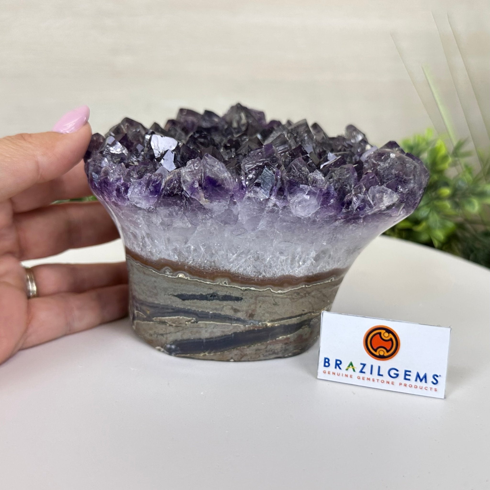 Polished Amethyst Flower 4.62 lbs & 3.8" Tall 5609 - 0045 - Brazil GemsBrazil GemsPolished Amethyst Flower 4.62 lbs & 3.8" Tall 5609 - 0045Crystal Flowers5609 - 0045